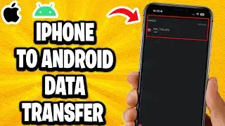 How To iPhone To Android Data Transfer