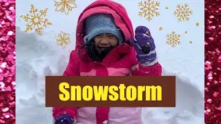 Snowstorm | It&rsquo;s going to be a white Christmas | Dec 22 2020 Calgary | lili&rsquo;s cam
