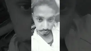 holld Sogha