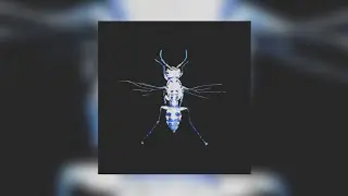 emilia f. - transpiraciones (2020) - Full Album