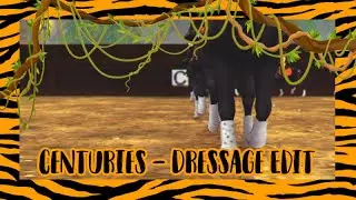 SSO Dressage Edit 