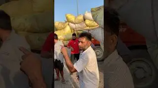 Todi de boli da taja rate #mandiupdate #shorts #trending #Mr jatt