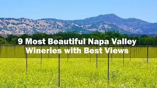 9 Most Beautiful Napa Valley Wineries with Best Views