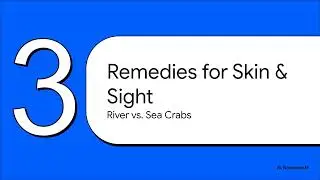 The Crab  Medical Marvel