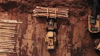 Heavy Machine Are Used To Pile Lumber Stocks In The Yard