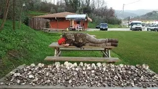 Dormienti 2016..Marzuoli o Gennaiuoli??