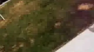 heabutt 1