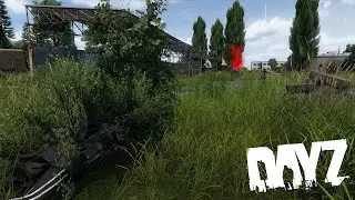Путешествие по Ливонии в легинсах | DayZ 1.24 Livonia