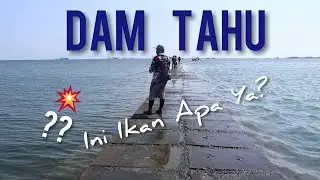 Mancing Dam Tahu Semarang Dapat Apa?