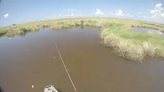 Sight casting sheepheads!