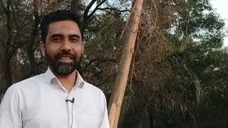 IELTS Writing: Discussion on Basic Sentence Patterns