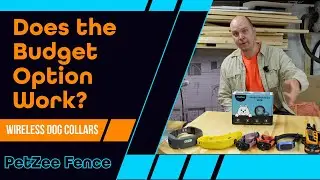Does the Budget Wireless Pet Fence hold up? (PetZee Review)