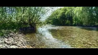 Afon Ystwyth at Llanilar