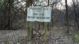 Drone Capture of Nature at Washington Irving Park, Tulsa OK
