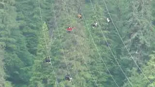Zip Line at Haynes, Alaska