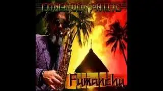 Congo Don Patito - Tu juego 2014