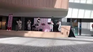 Bob-omb Battlefield | Cowtown Collection @ Calgary Expo 2025 [1/12]