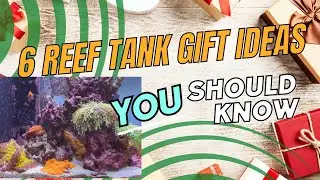 Top 6 Holiday Gift Ideas To Surprise Your Reef Tank Hobbyist For The 2023 Holiday.