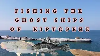 Multi-species Fishing the Concrete Ships at Kiptopeke State Park