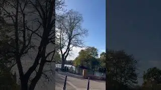 Lake in UK | Lichfield # Sun# lake viral shorts