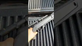 Backyard plinking #airgun #squirrelhunting