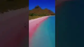 Pink beach, Komodo Island , Indonesia 🇮🇩🇮🇩 #shorts