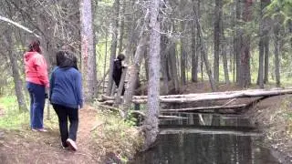 Mt Kidd Log Walk