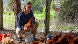Holding on to the family farm: Sophie&rsquo;s climate action story