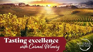 Tasting excellence with Carmel&nbsp;Winery