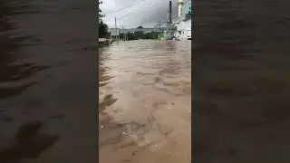 Floods - NSW - BROADWATER, NSW