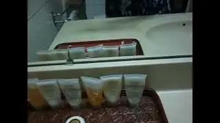 Yanggakdo Hotel - Pyongyang - North Korea