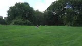 New York - Central Park - North Meadow