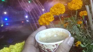 নাইট লাইভ চলে এসো