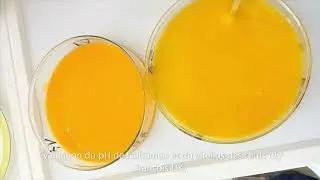 Caract&eacute;risation des &oelig;ufs: Evaluation du PH du vitellus et de l'albumen