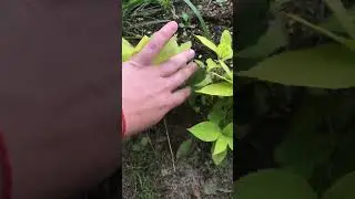 К чему нужно быть готовым при посадки п9🪴в ОГ🌺