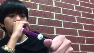 Amazing Amazing Grace performance on Slide Whistle