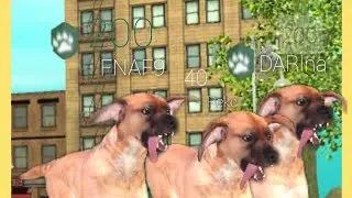 Прохождение игры Dog Sim