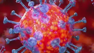 What&rsquo;s the difference between a new variant vs. a new strain of COVID-19?