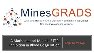 Kenji Miyazawa - A Mathematical Model of TFPI Inhibition in Blood Coagulation