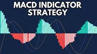 Stop Using MACD Wrong! The Secret to Predicting Trend Reversals (2026 Guide)
