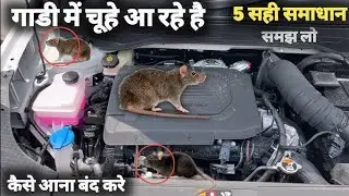 RAT PROTECTION MESH For CAR 🚘 how to get out of car rat car  में चूहे आते हैं कैसे बाहर निकले #mech