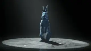 O2 - Follow the Rabbit