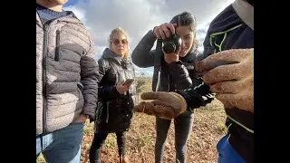 Seminario:Descubriendo el Turismo de la Trufa en Castilla y Le&oacute;n. Trufforum2021
