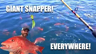 EPIC Red Snapper Feeding Frenzy : GIANT PB Red Snapper!!