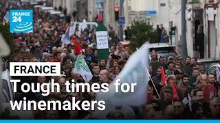 Tariffs, climate change, energy prices... tough times for France's winemakers &bull; FRANCE 24 English