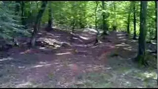 Aventuri Extreme!!