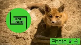 one frame - подборка фото 3 | a selection of photos