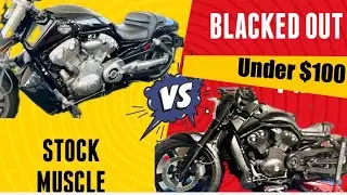V Rod Muscle Blacked Out for Cheap #harleydavidsonvrod #vrodcustom #vrodmuscle #biker