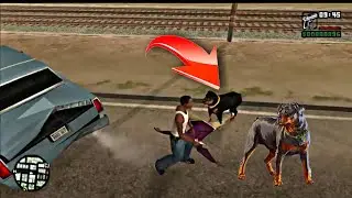Secret Dog Location in GTA San Andreas! (Dog Cheat Code)
