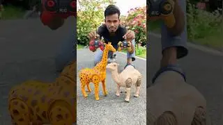 Duita RC Remote Wala Camel and Giraffe🦒unboxing🔥😛